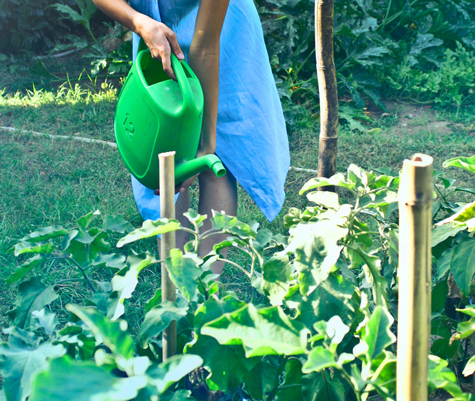 Agricultural support in the field