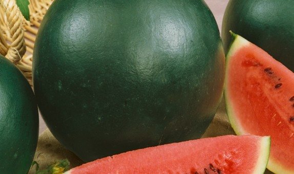 Watermelon – Sugar Baby